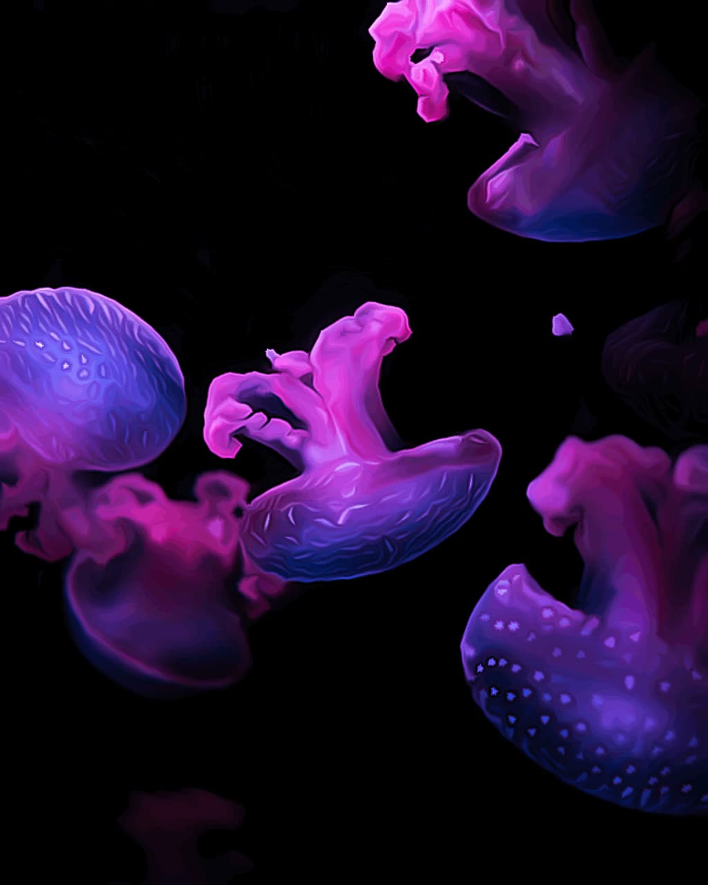 Animated jellyfish artwork created with Animatix