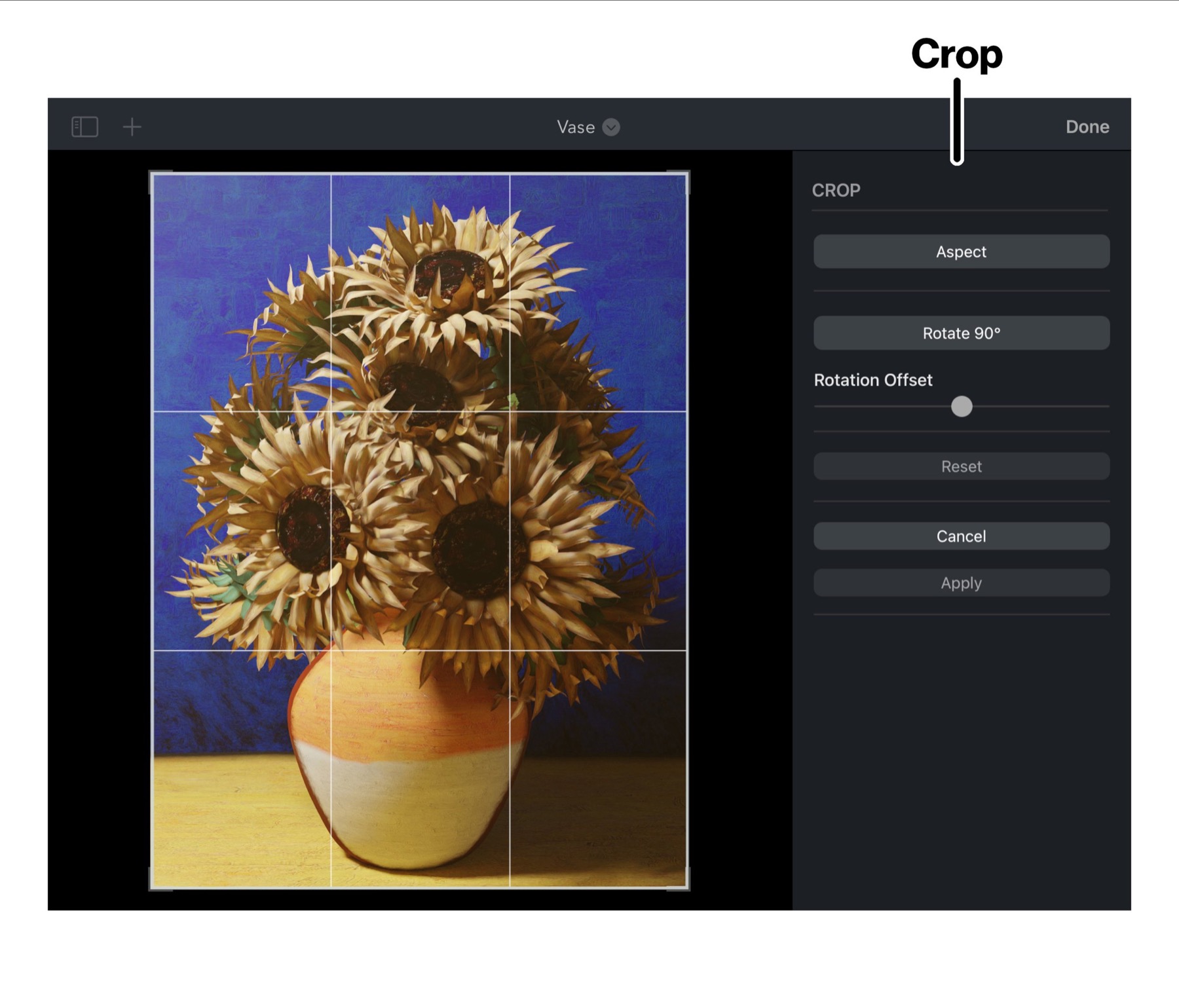 Crop tool in Brushstroke Pro for iPad