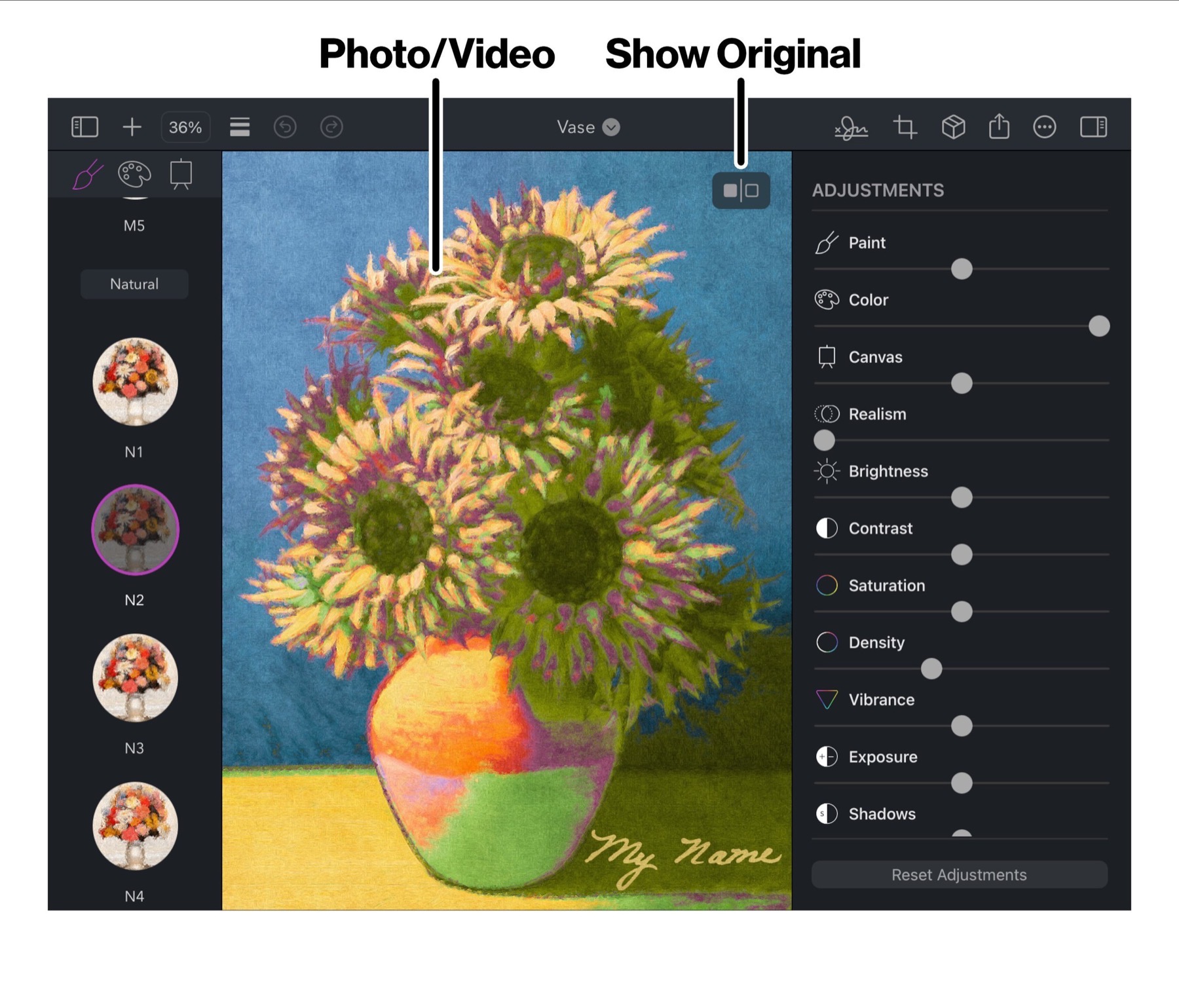 The Photo/Video display in Brushstroke Pro for iPad
