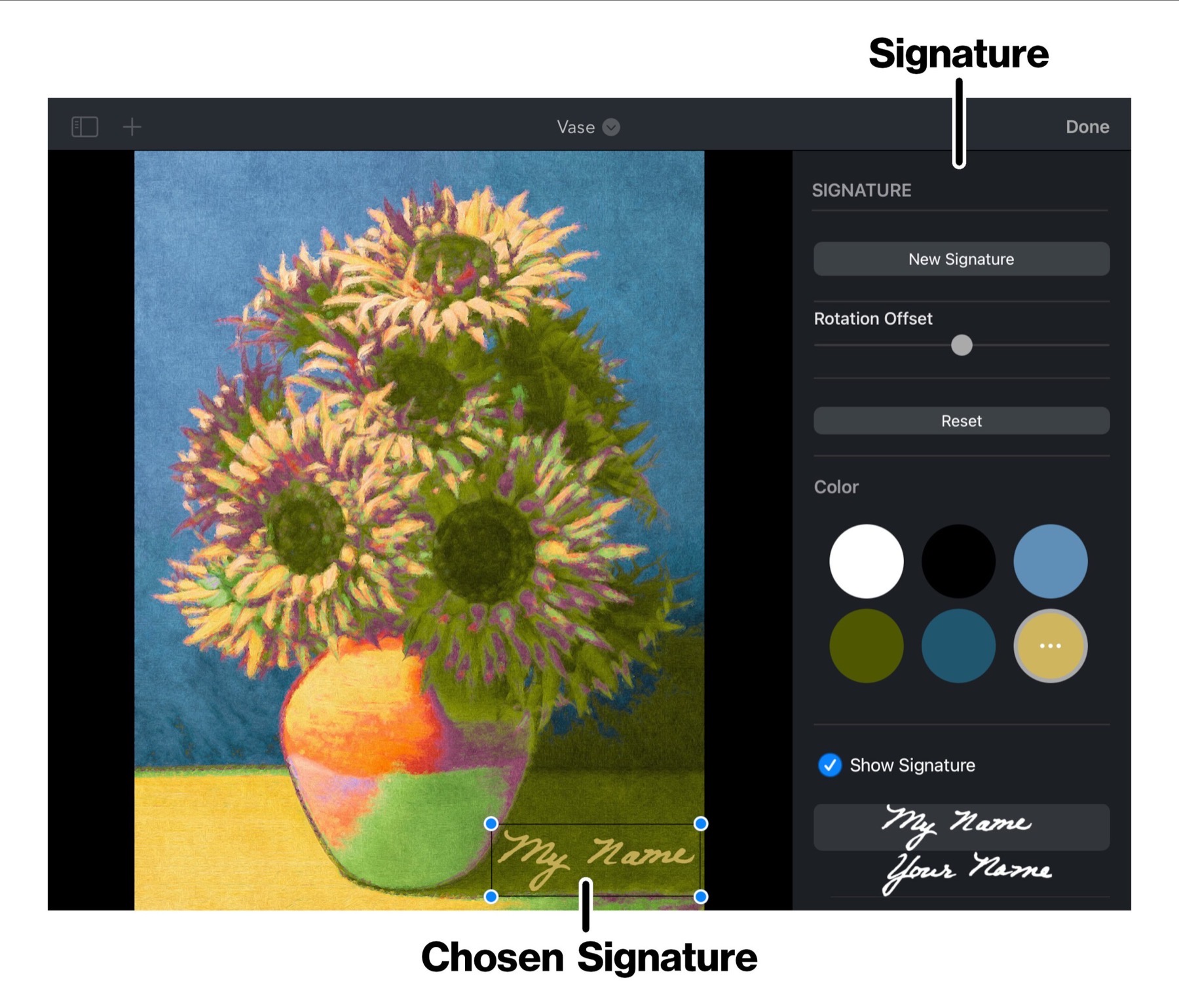 Signature panel in Brushstroke Pro for iPad
