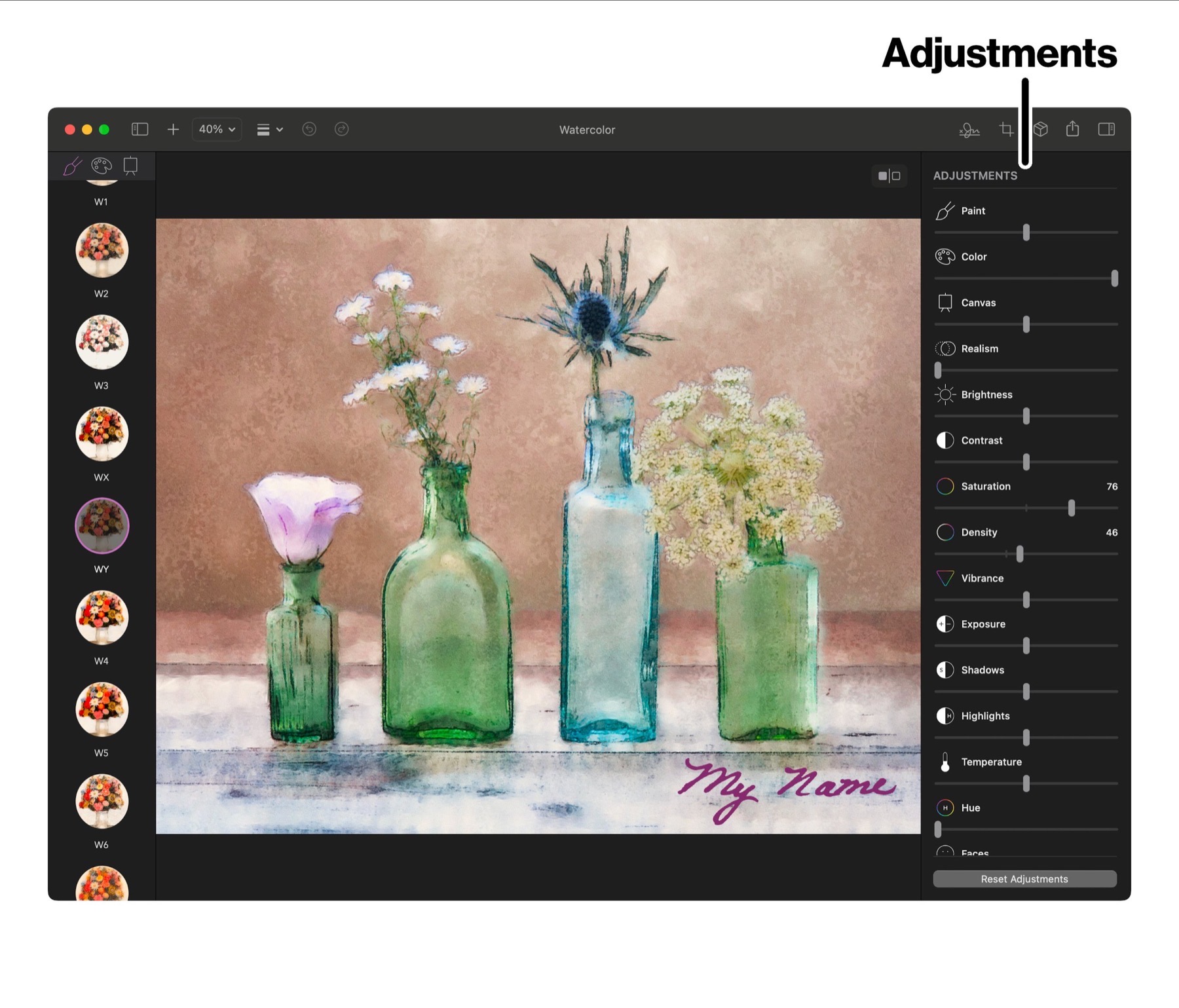 Adjustments sidebar in Brushstroke Pro for Mac