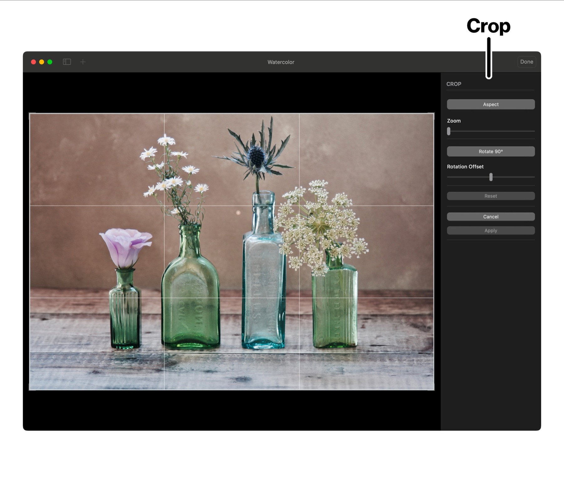 Crop tool in Brushstroke Pro for Mac