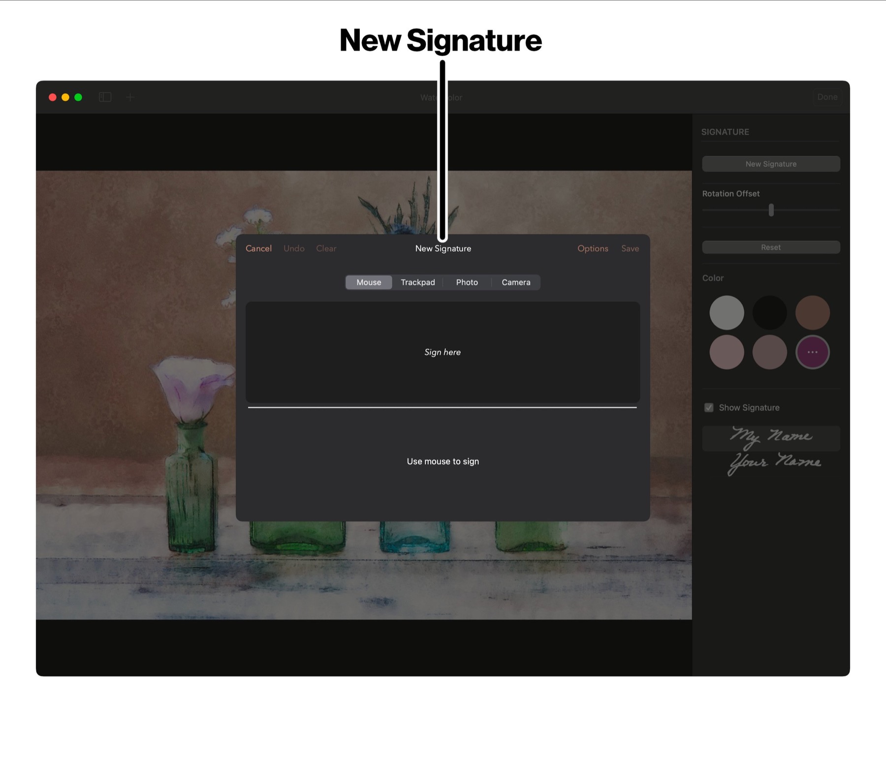 New Signature dialog in Brushstroke Pro for Mac