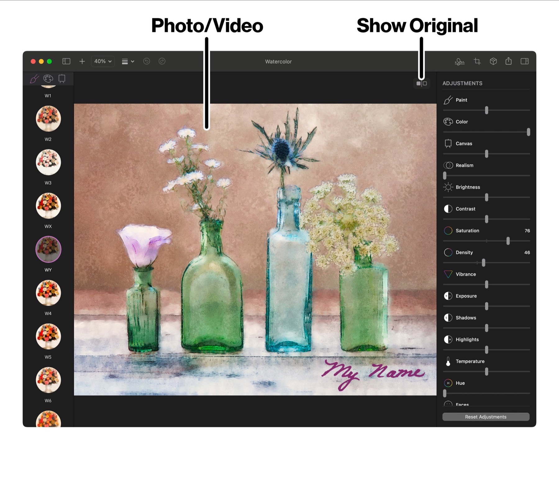 The Photo/Video display in Brushstroke Pro for Mac