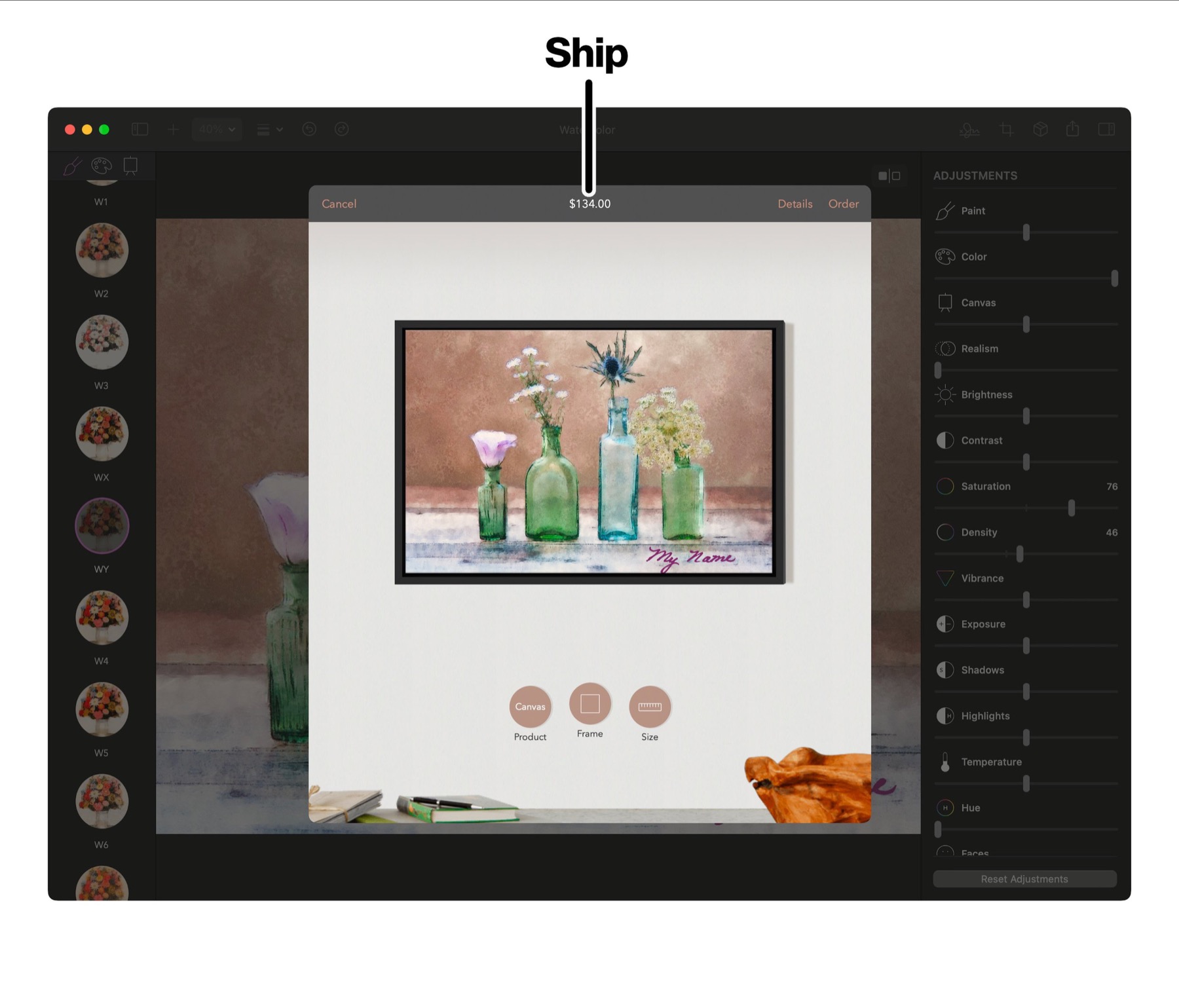 Ship panel for ordering prints in Brushstroke Pro for Mac