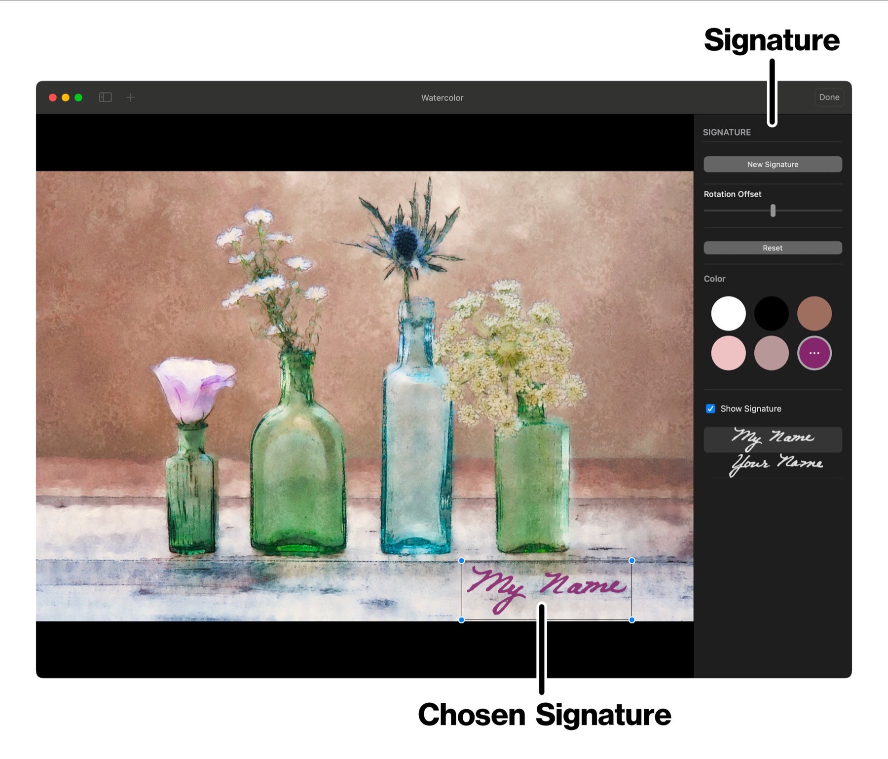 Signature panel in Brushstroke Pro for Mac