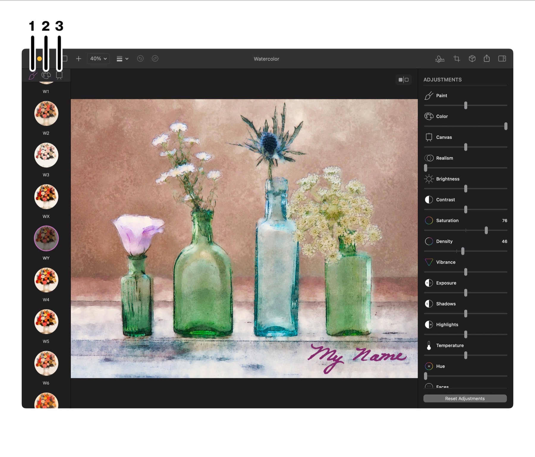 Style, Palette and Canvas selection sidebar in Brushstroke Pro for Mac