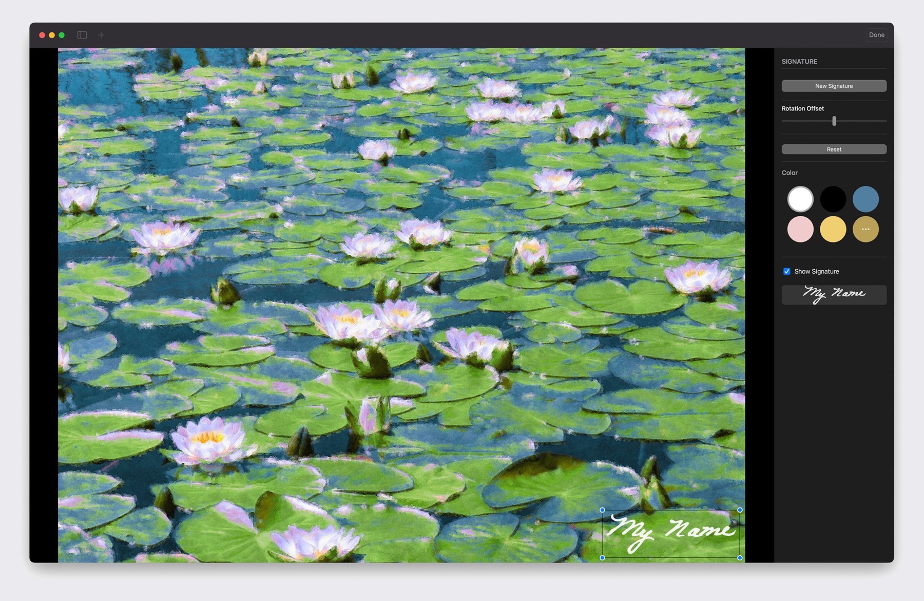 Signing a water-lily painting in Brushstroke Pro